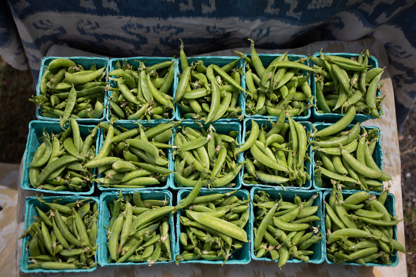 LNA_05232019_AmherstFarmersMarket_02